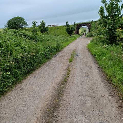Cyclists cycling along a gravel track.