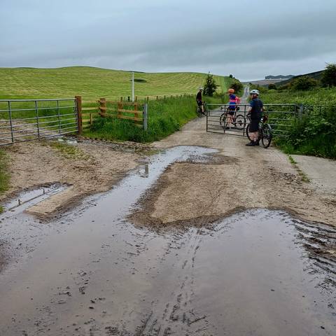 Cyclists navigating gates along a gravel track.